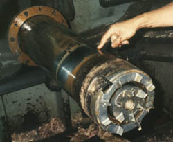 spare1.jpg (18723 bytes)